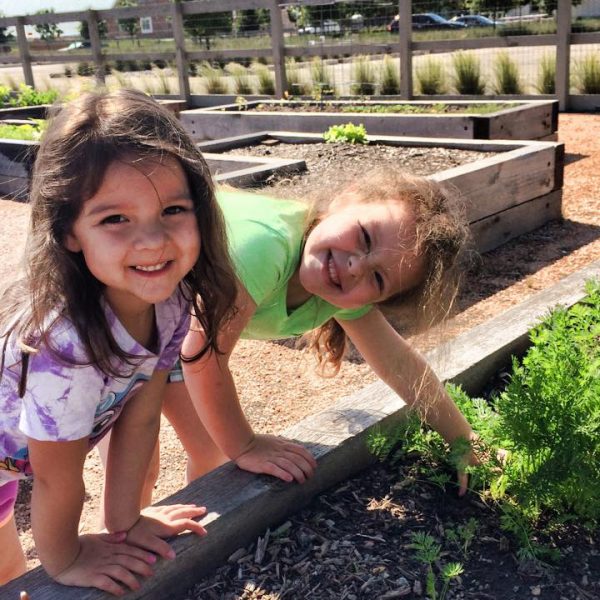 Harvest Blog: Summer Gardening Checklist & Tips to Beat the Heat