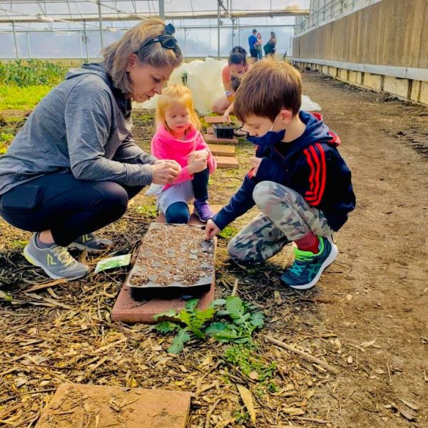 Starting seeds in the Harvest greenhouse