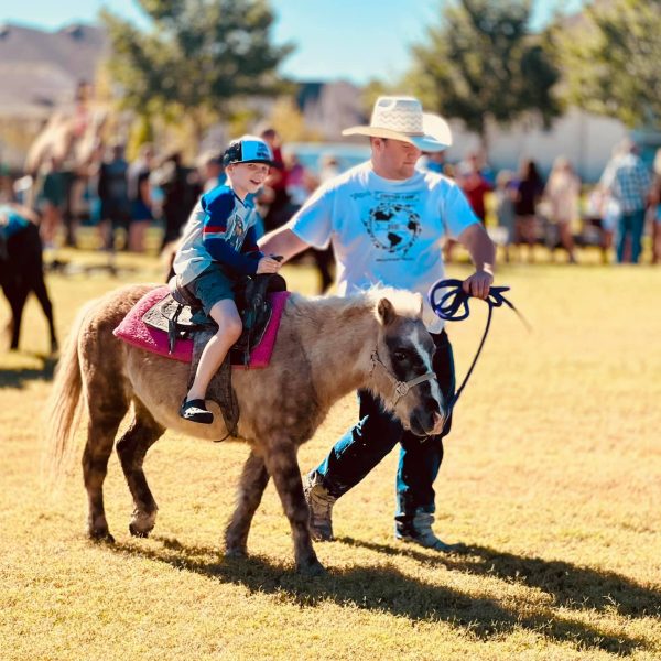 Pony rides are a popular summer activity at Harvest