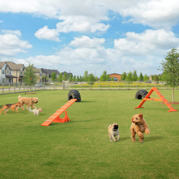 Harvest Amenities: Dog Park