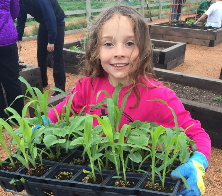 Grow Bags for Vegetable Gardening and More - The Beginner's Garden