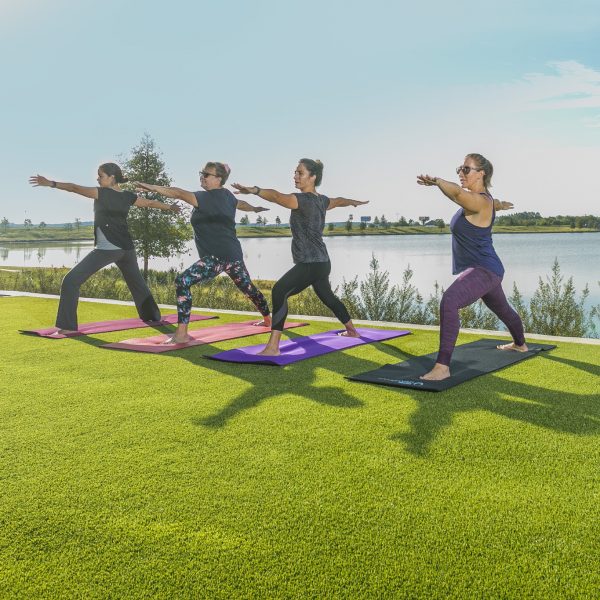 Early morning yoga on the lawn 