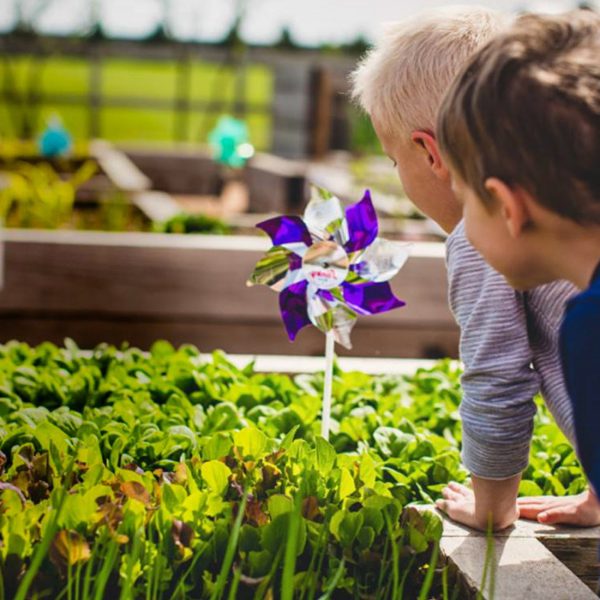 Multiple opportunities for Harvest kids to play in dirt and learn