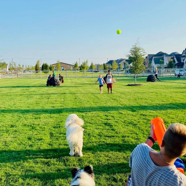 Harvest has lots of green space for our four legged friends