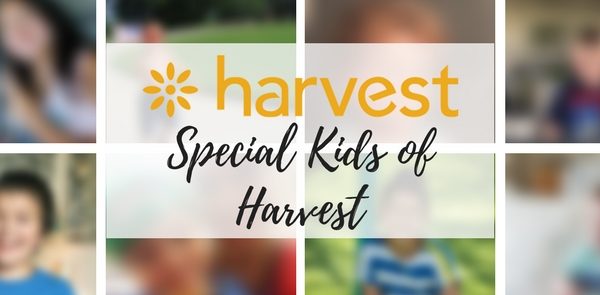 Harvest Blog: Do you know why we say #HarvestBetterTogether?