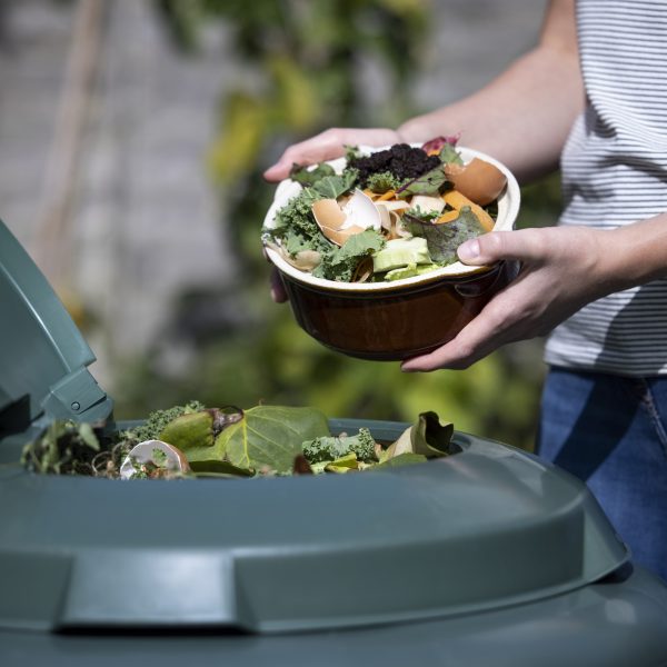 Harvest Blog: Guide and Tips on How to Compost at Home