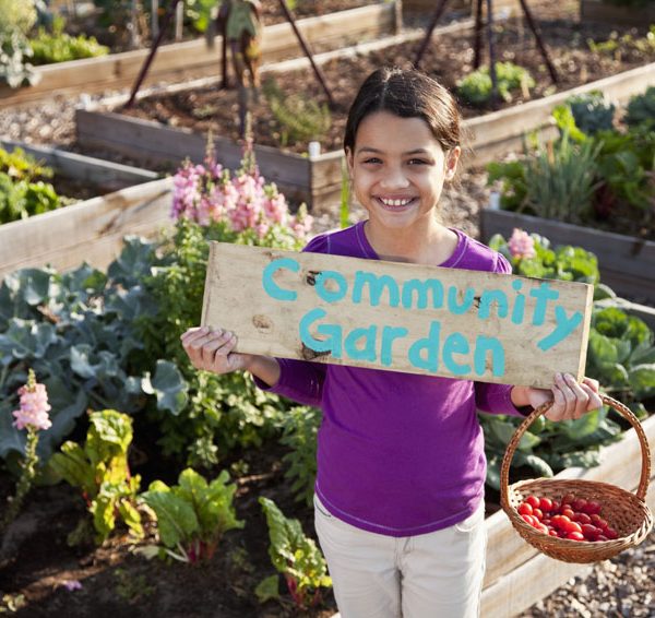 Our community garden invites everyone to participate