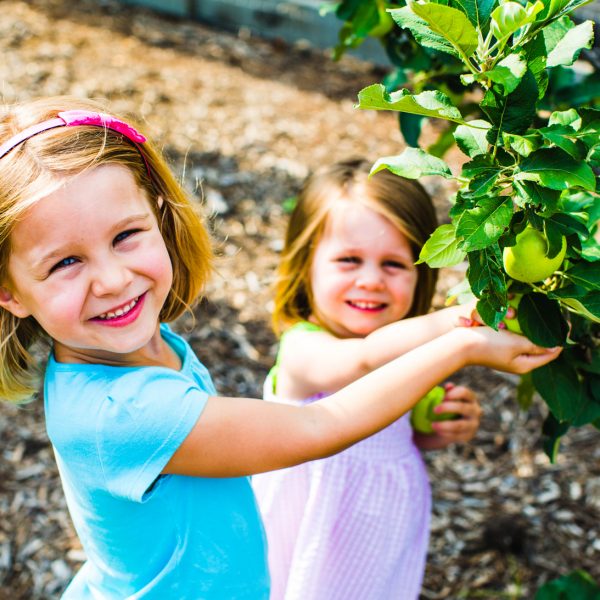 Educate your kids on where food comes from at our onsite farm