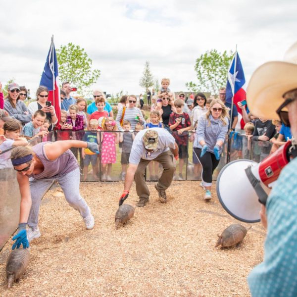 Armadillo racing, because it's Texas!