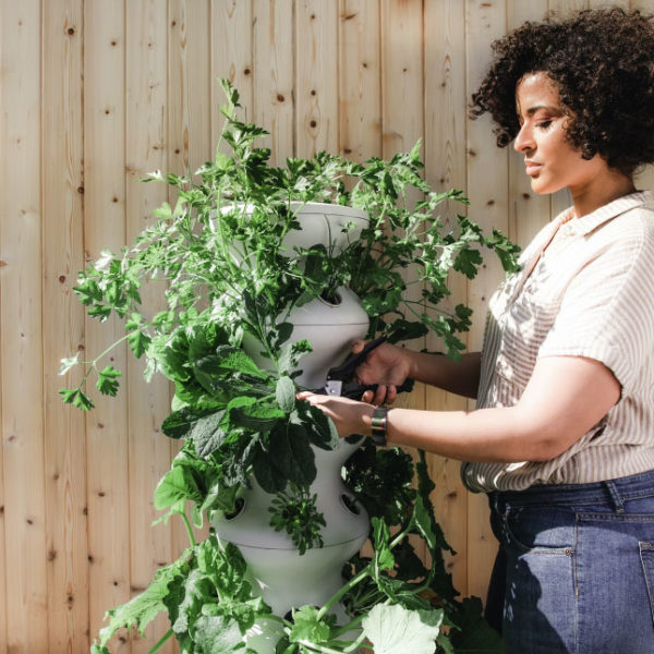 Harvest Blog: Exploring the Millennial-Plants Love Affair