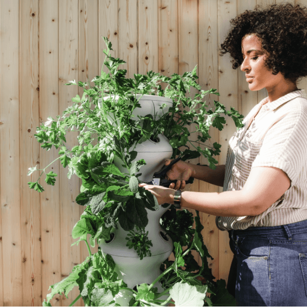 Harvest News: Exploring the Millennial-Plants Love Affair