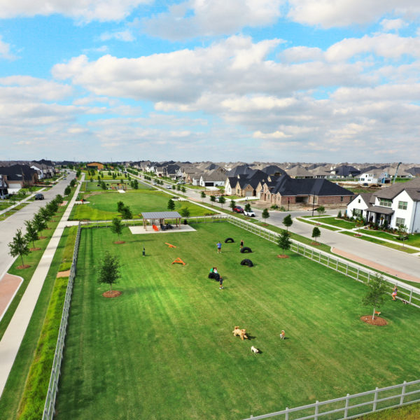 Expansive dog park