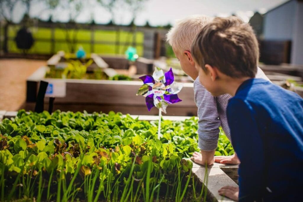 What is Community Supported Agriculture (CSA)? - Harvest by Hillwood