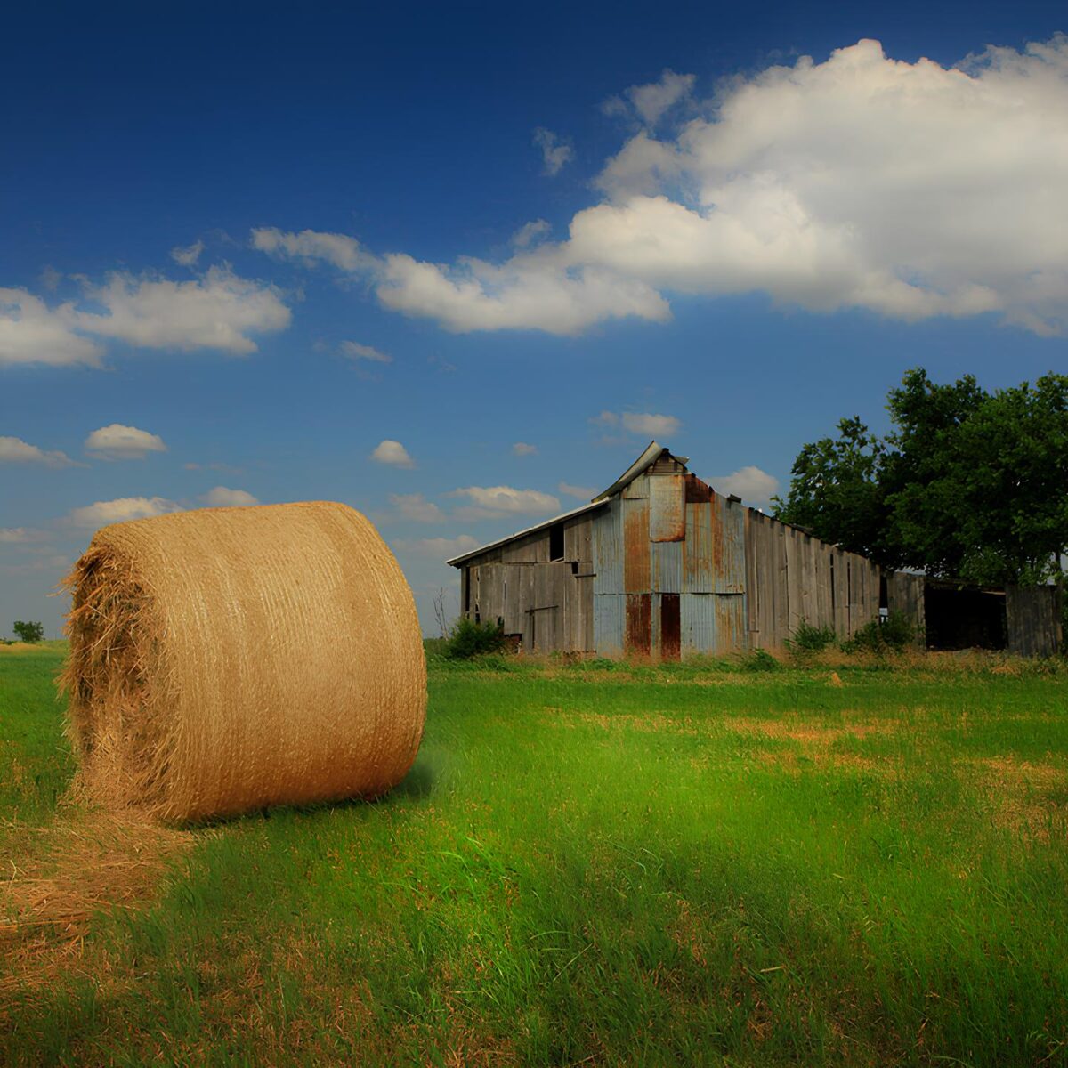 Harvest: DFW's First Agrihood